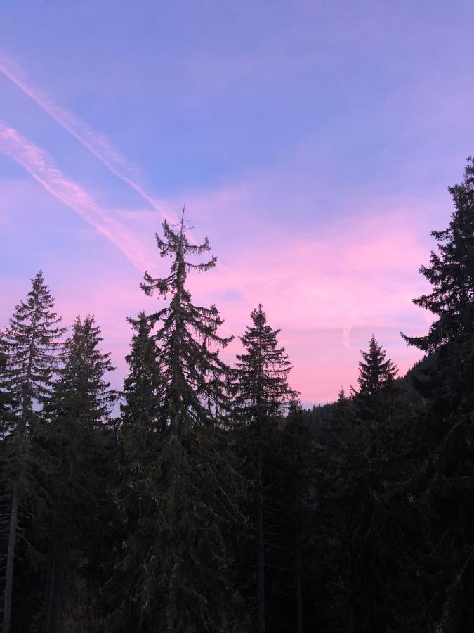 Luxury Aparthotel Studenets Pamporovo Luaran gambar